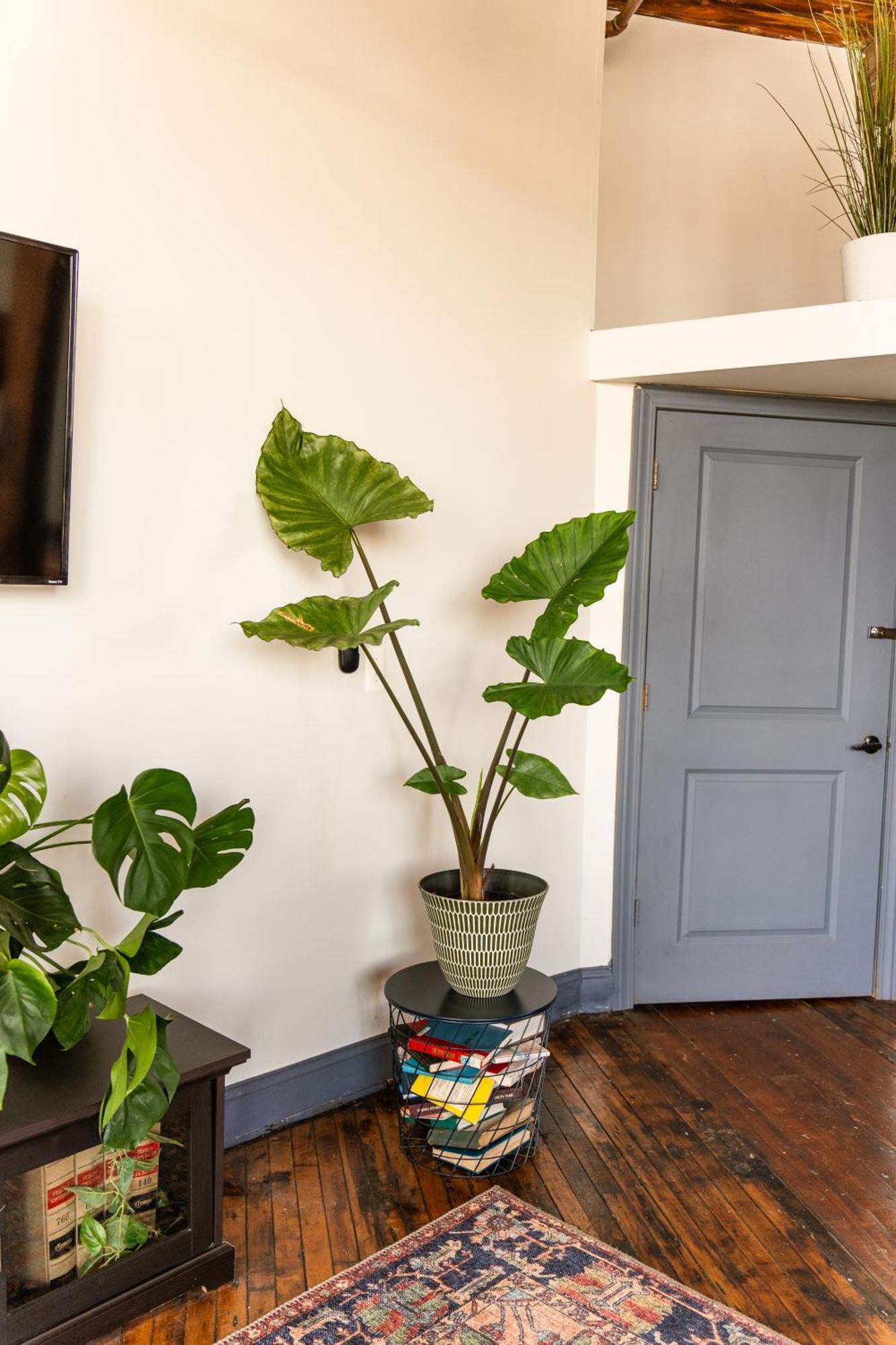420 Friendly Canada Bridge View Loft Downtown Free Parking Ντητρόιτ Εξωτερικό φωτογραφία